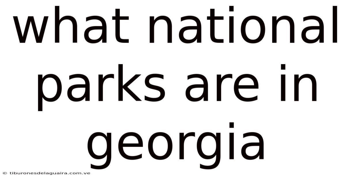 What National Parks Are In Georgia
