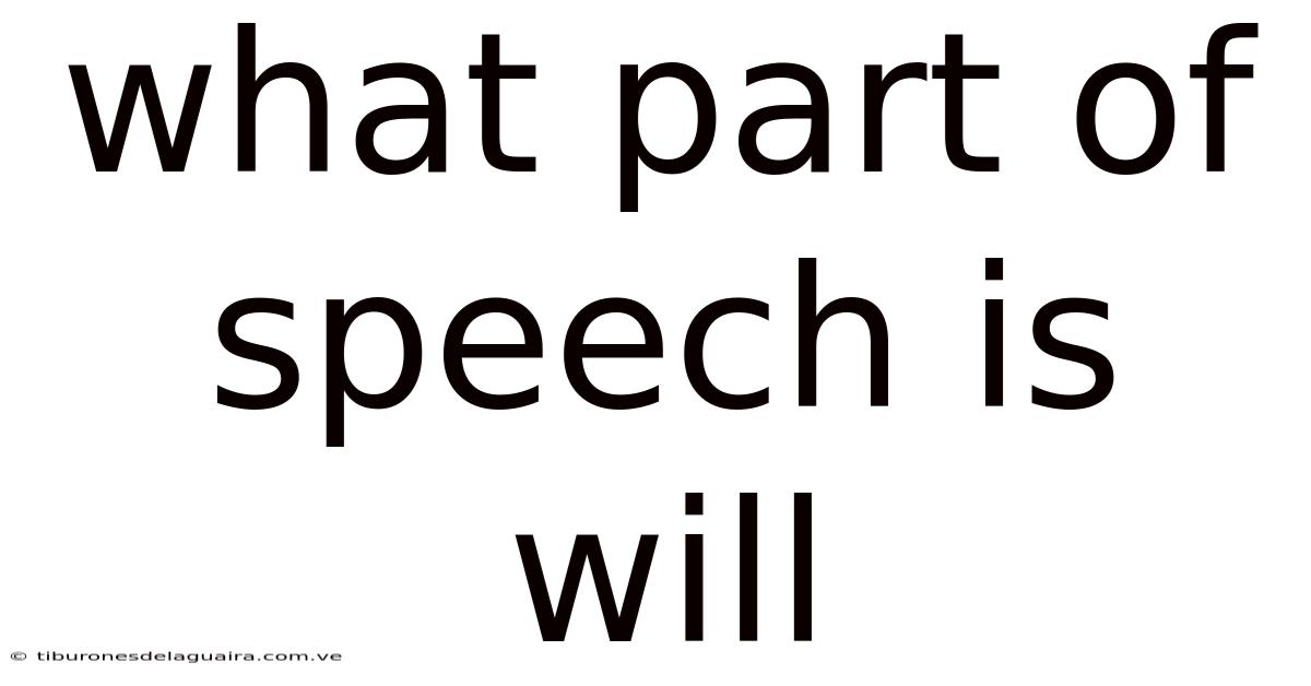What Part Of Speech Is Will
