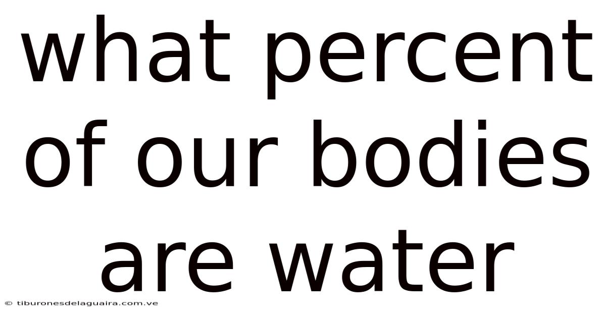 What Percent Of Our Bodies Are Water