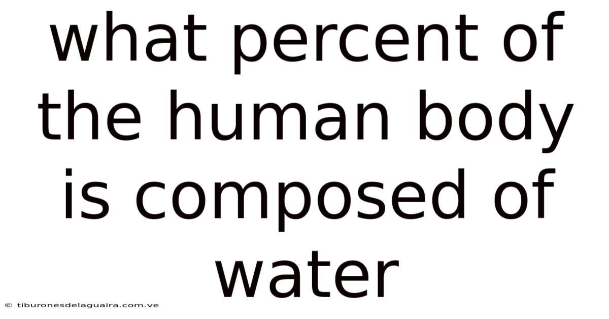 What Percent Of The Human Body Is Composed Of Water