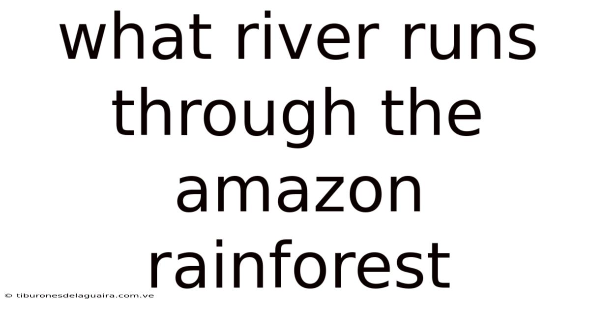 What River Runs Through The Amazon Rainforest