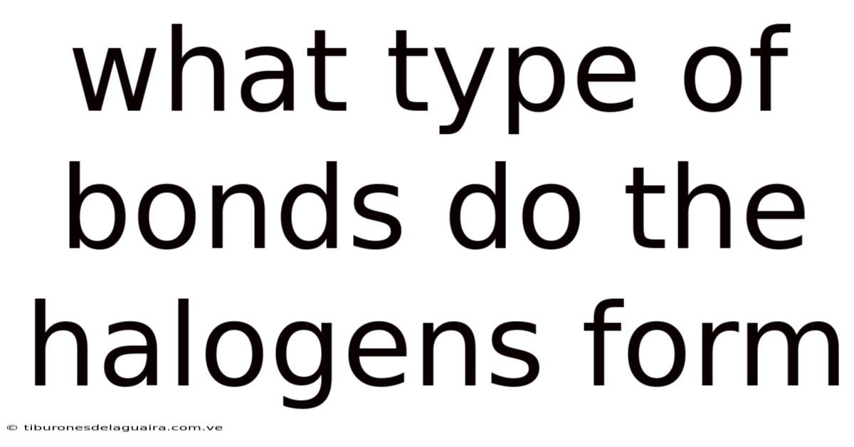 What Type Of Bonds Do The Halogens Form