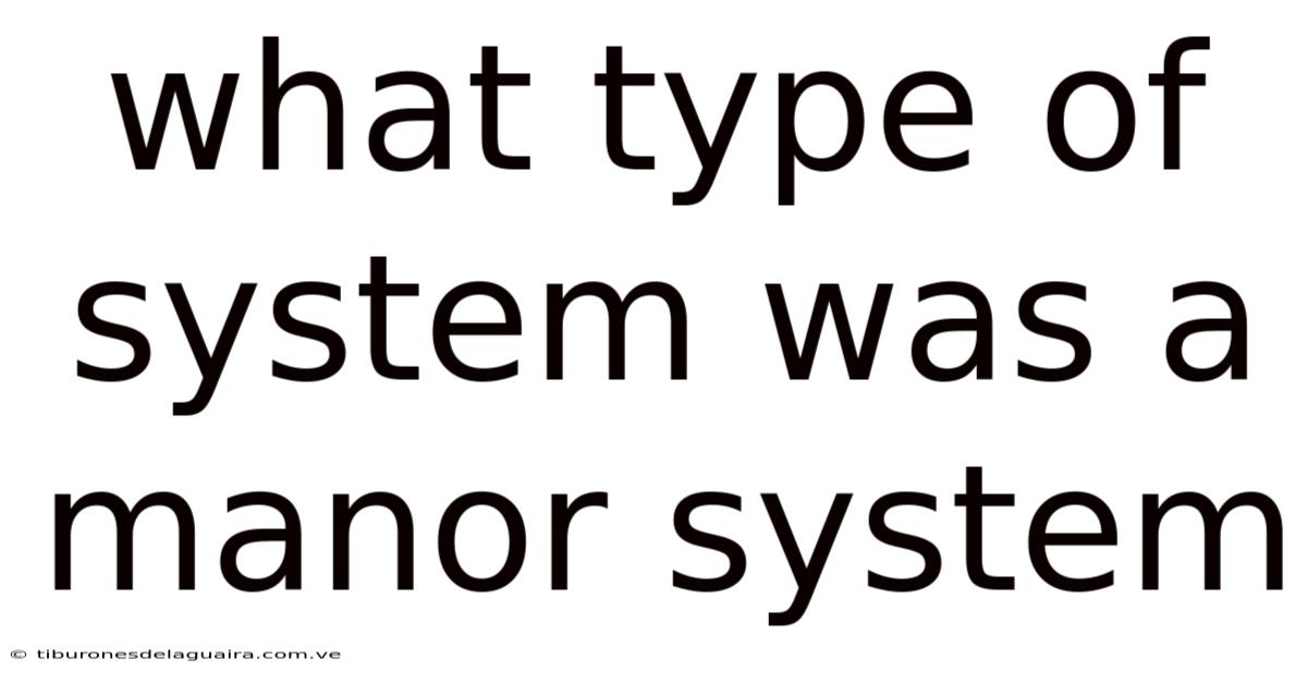 What Type Of System Was A Manor System