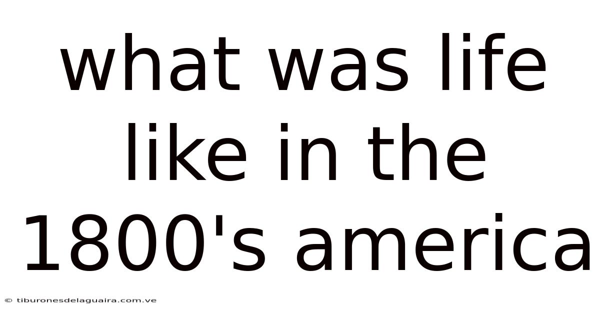 What Was Life Like In The 1800's America