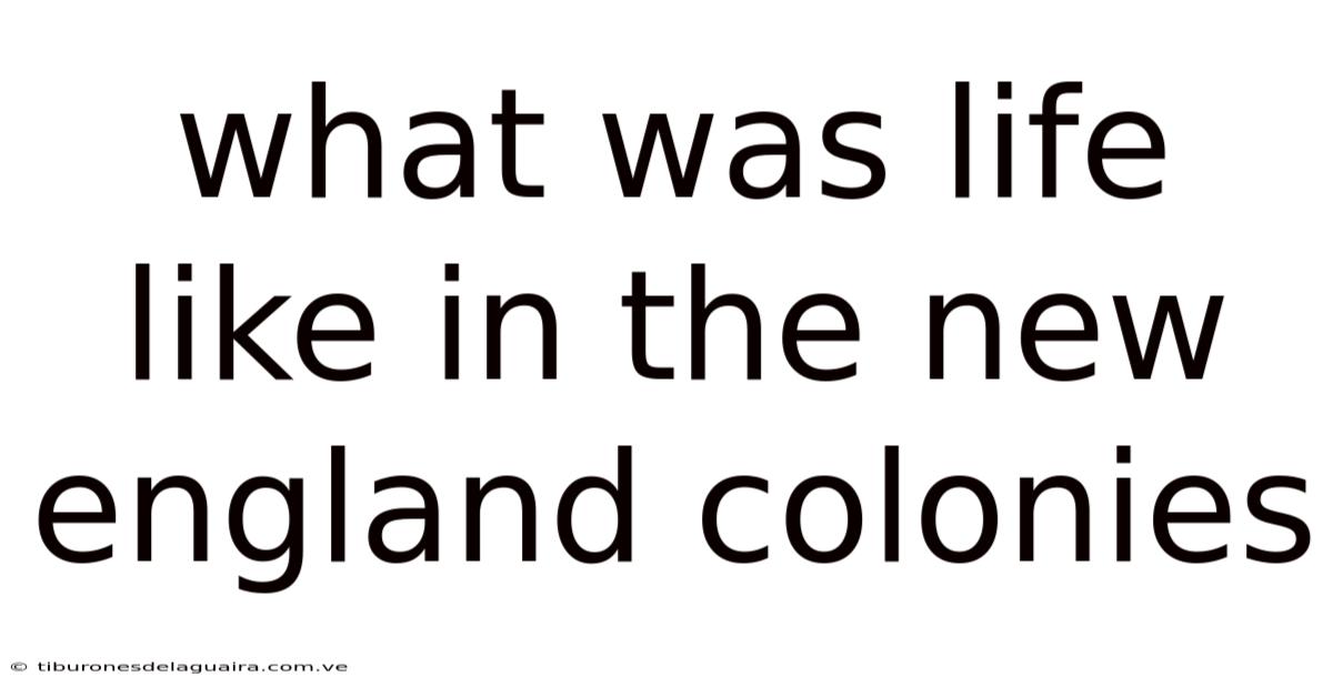 What Was Life Like In The New England Colonies