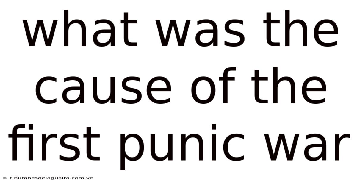 What Was The Cause Of The First Punic War