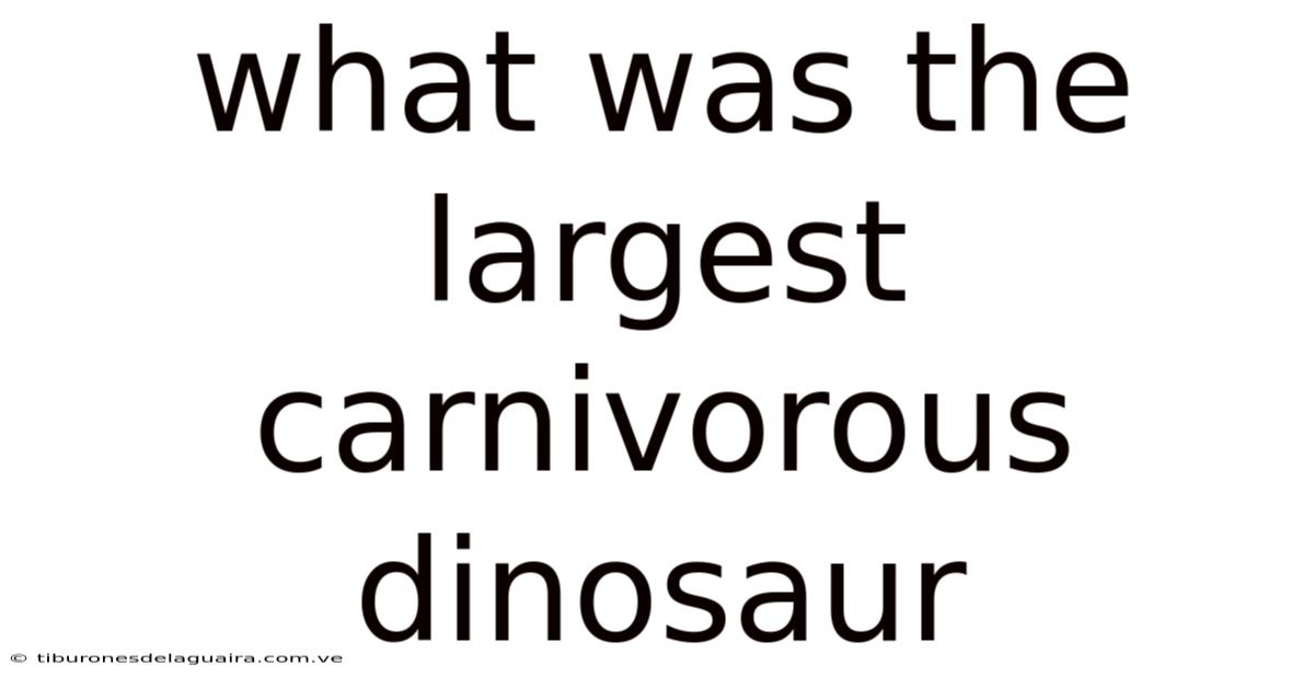 What Was The Largest Carnivorous Dinosaur