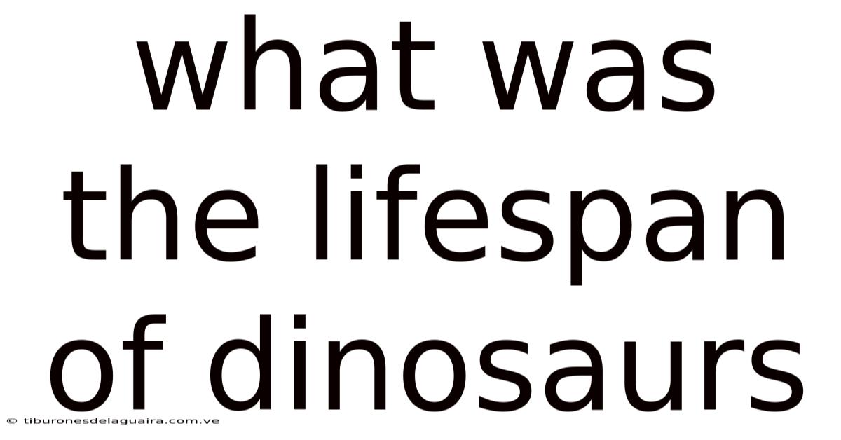 What Was The Lifespan Of Dinosaurs