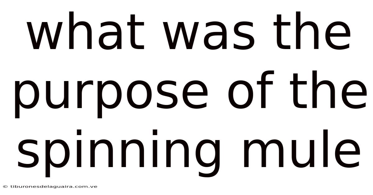 What Was The Purpose Of The Spinning Mule