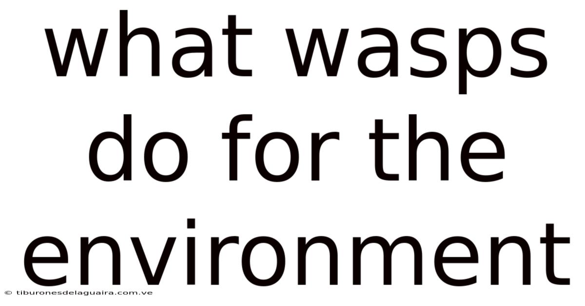 What Wasps Do For The Environment