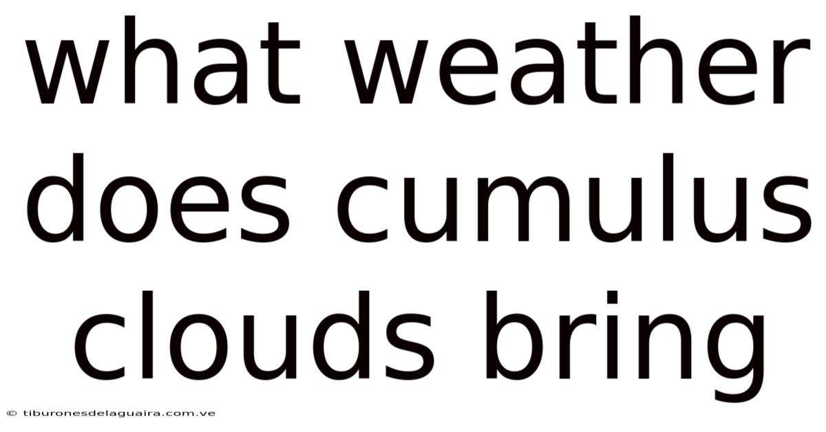 What Weather Does Cumulus Clouds Bring