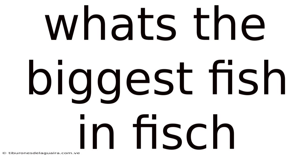 Whats The Biggest Fish In Fisch