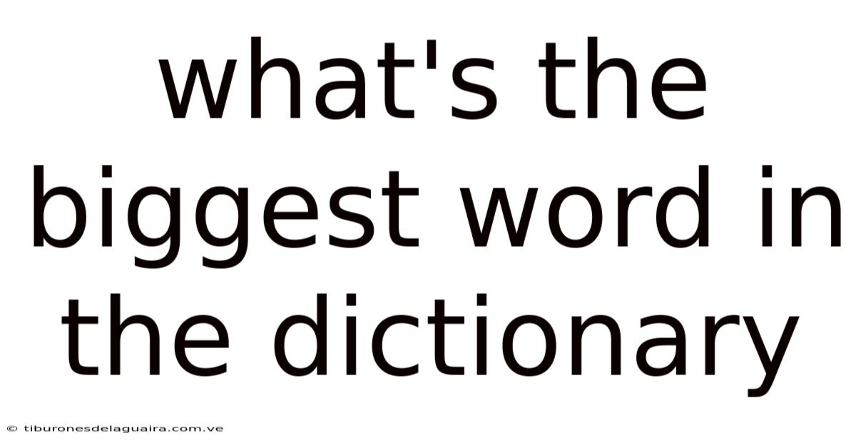 What's The Biggest Word In The Dictionary