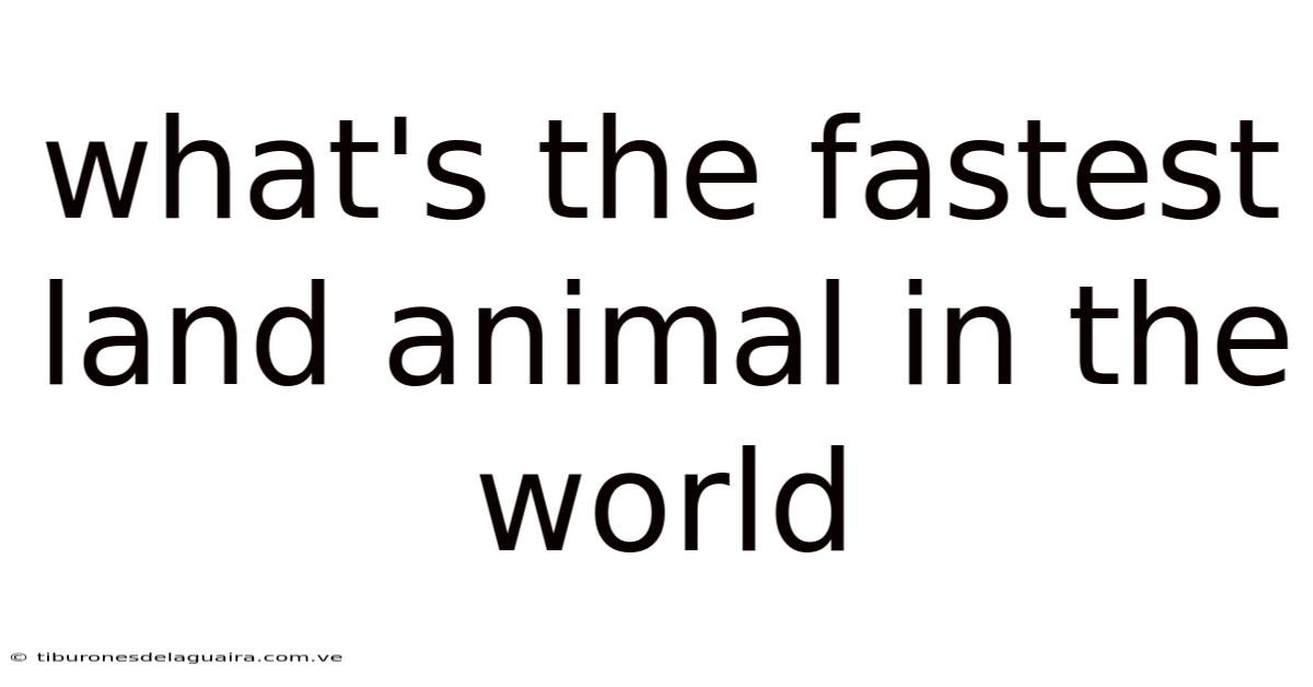 What's The Fastest Land Animal In The World