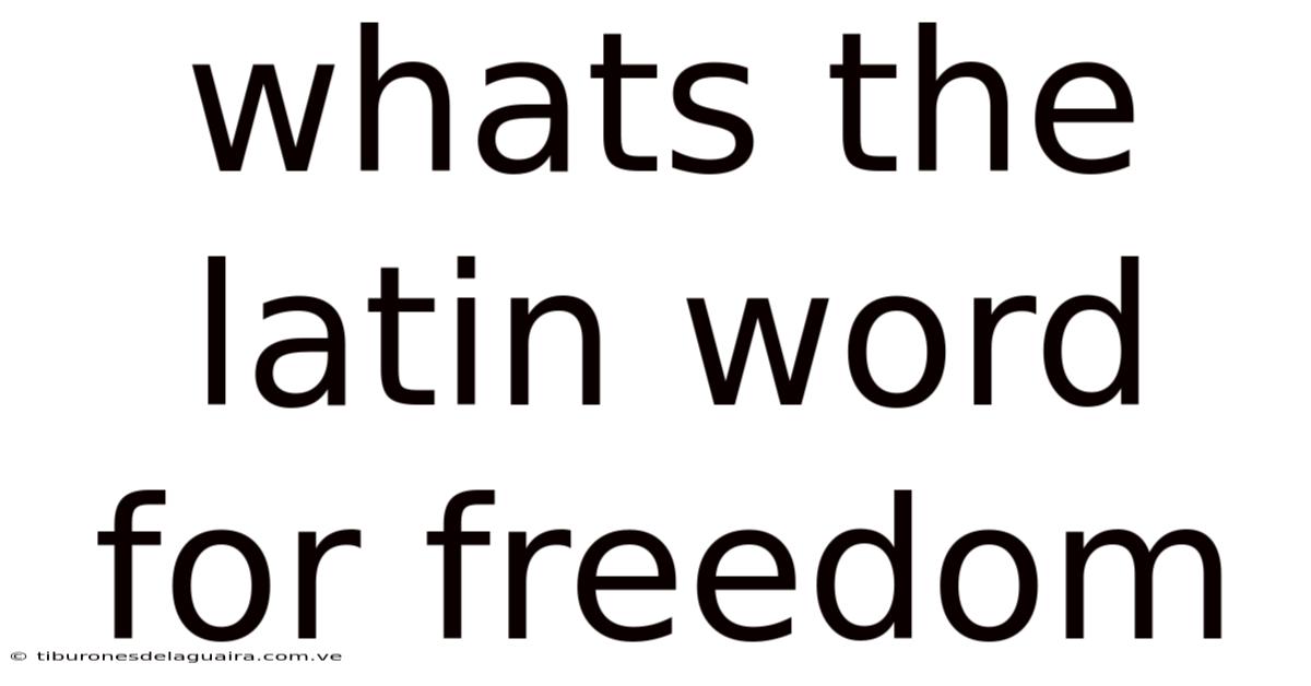 Whats The Latin Word For Freedom