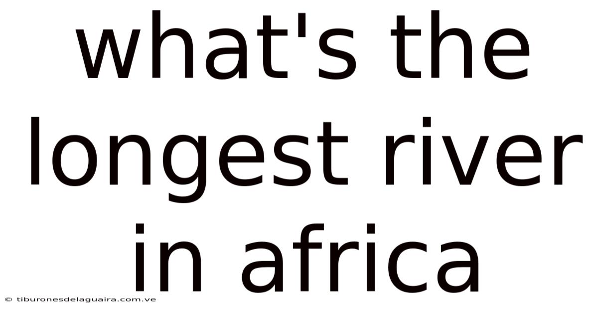 What's The Longest River In Africa