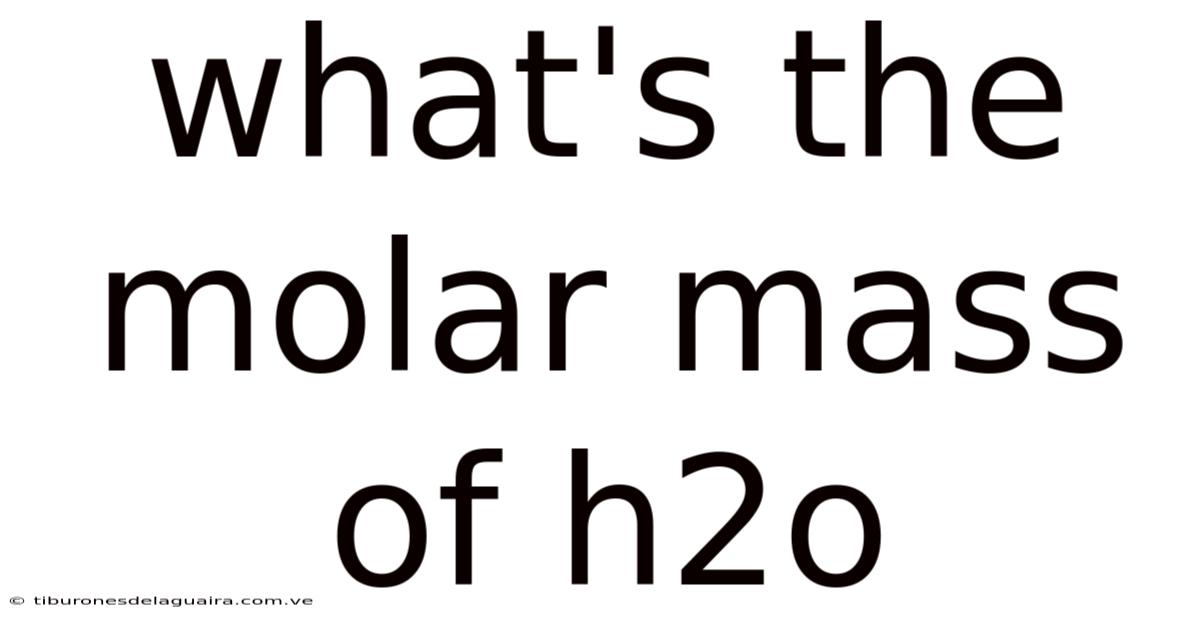 What's The Molar Mass Of H2o
