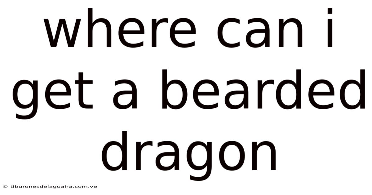 Where Can I Get A Bearded Dragon