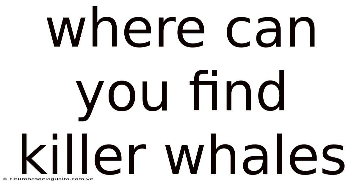 Where Can You Find Killer Whales