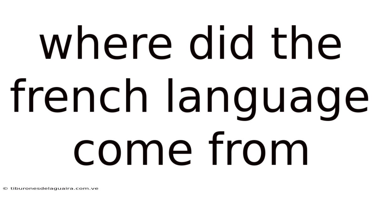 Where Did The French Language Come From
