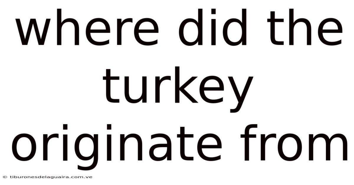 Where Did The Turkey Originate From