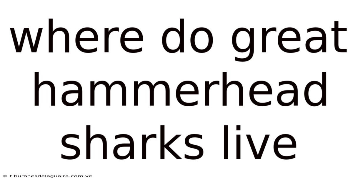 Where Do Great Hammerhead Sharks Live