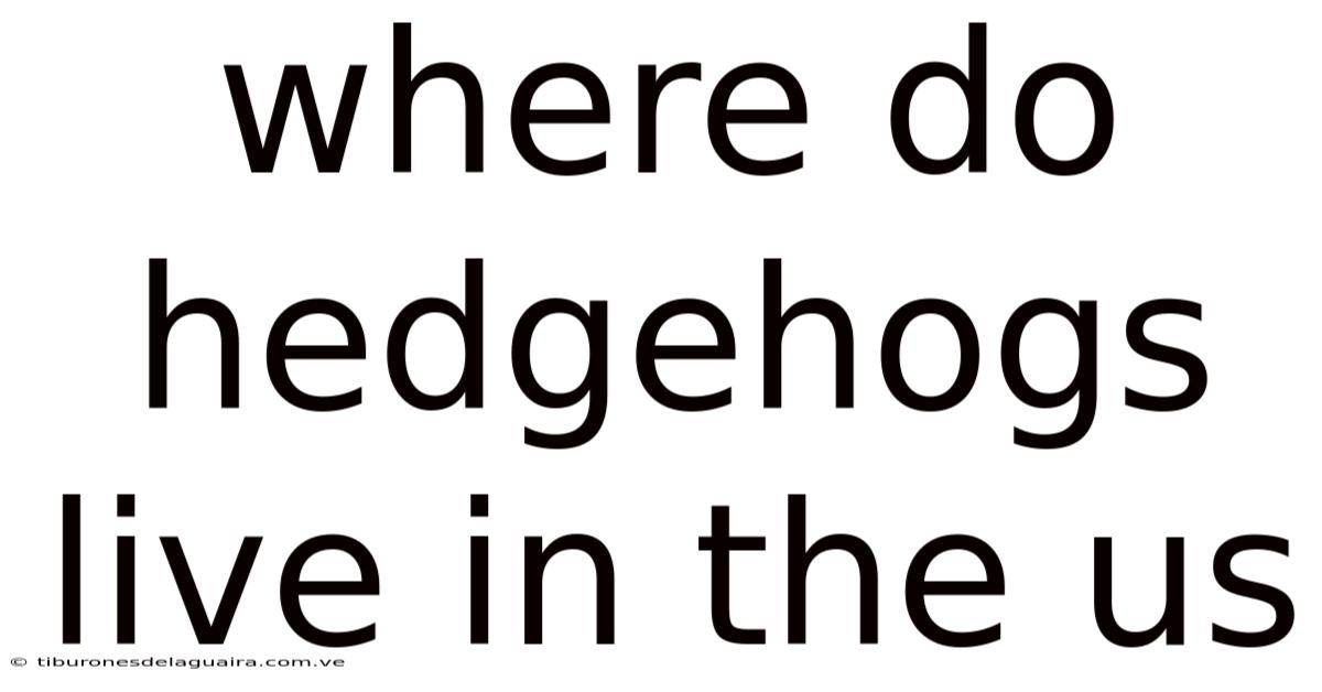 Where Do Hedgehogs Live In The Us