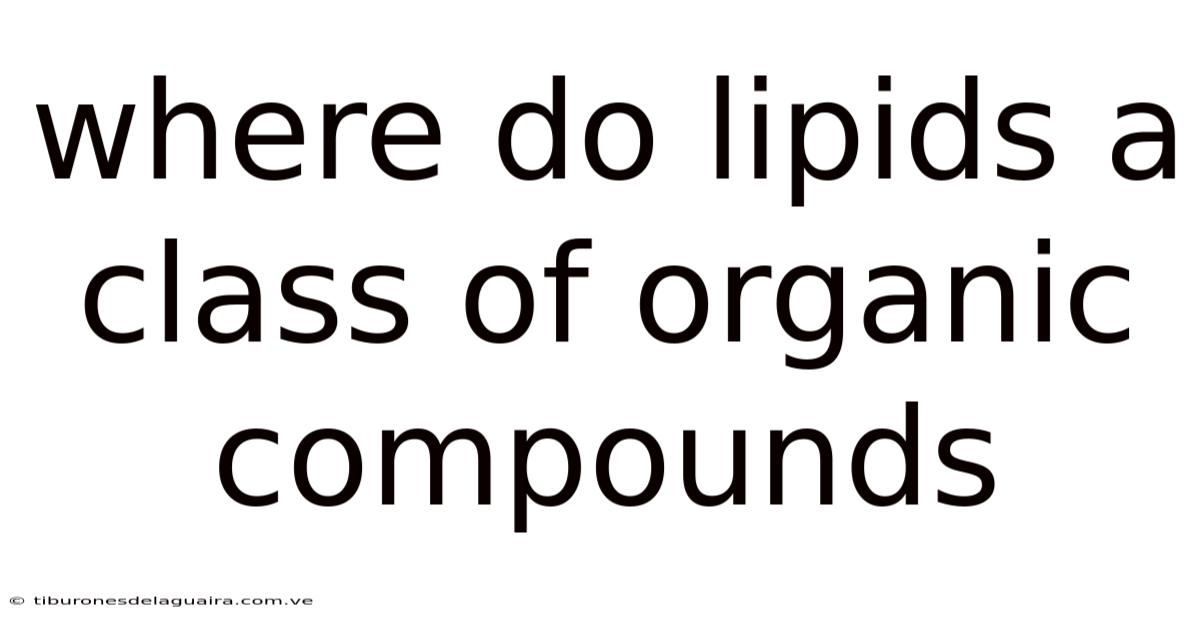 Where Do Lipids A Class Of Organic Compounds