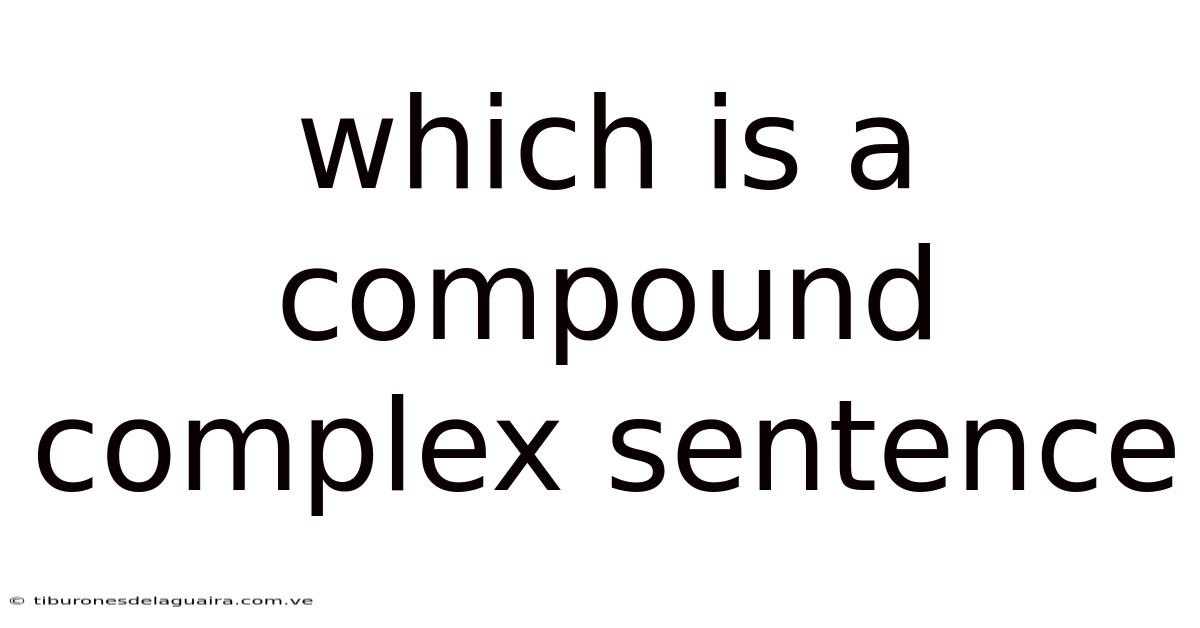 Which Is A Compound Complex Sentence