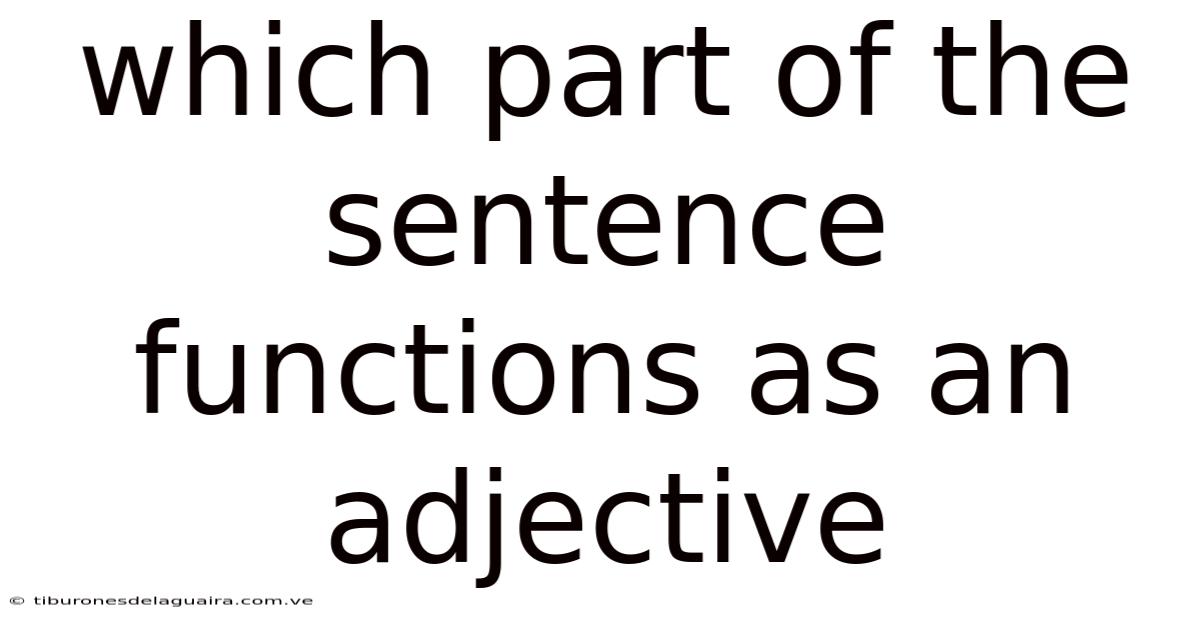 Which Part Of The Sentence Functions As An Adjective