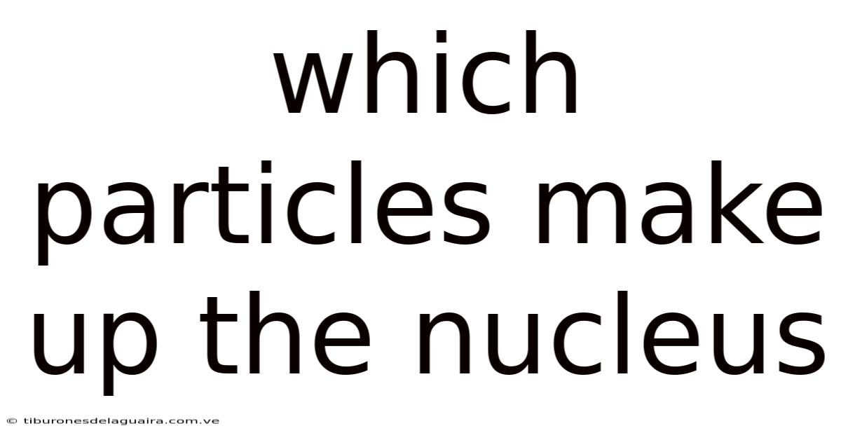 Which Particles Make Up The Nucleus