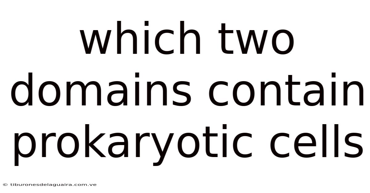 Which Two Domains Contain Prokaryotic Cells