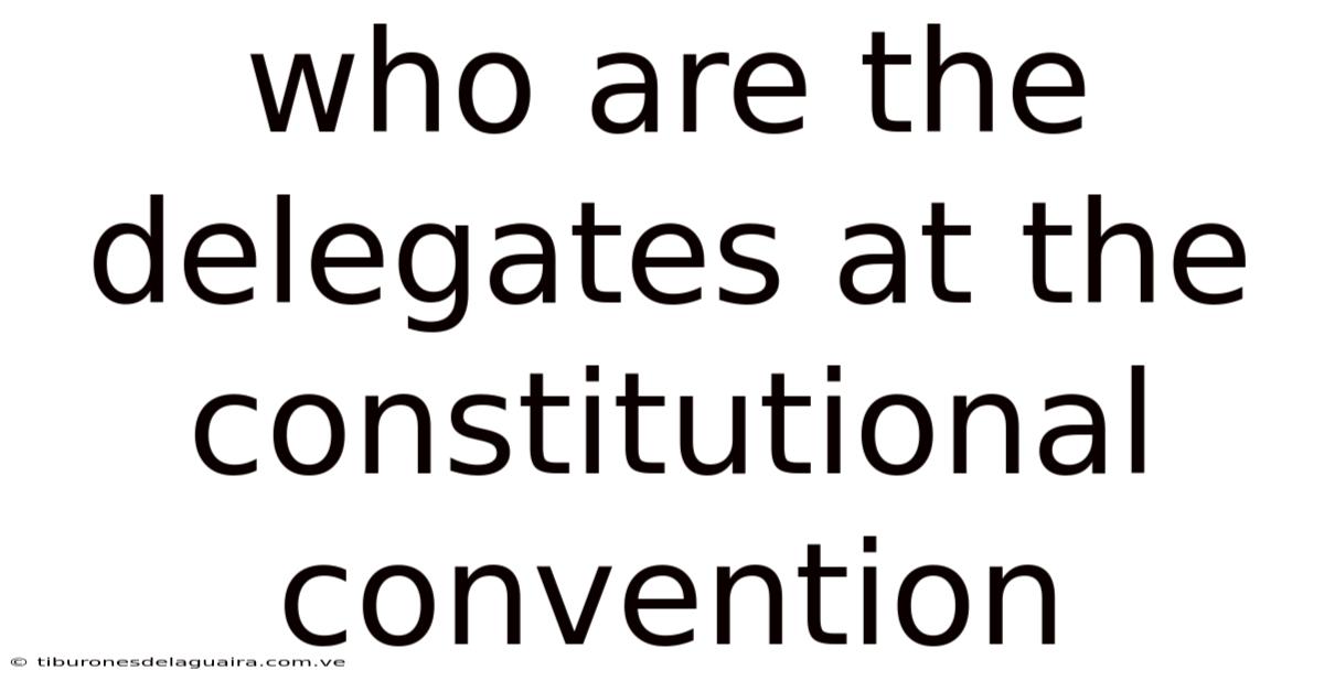 Who Are The Delegates At The Constitutional Convention