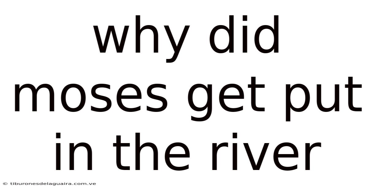 Why Did Moses Get Put In The River