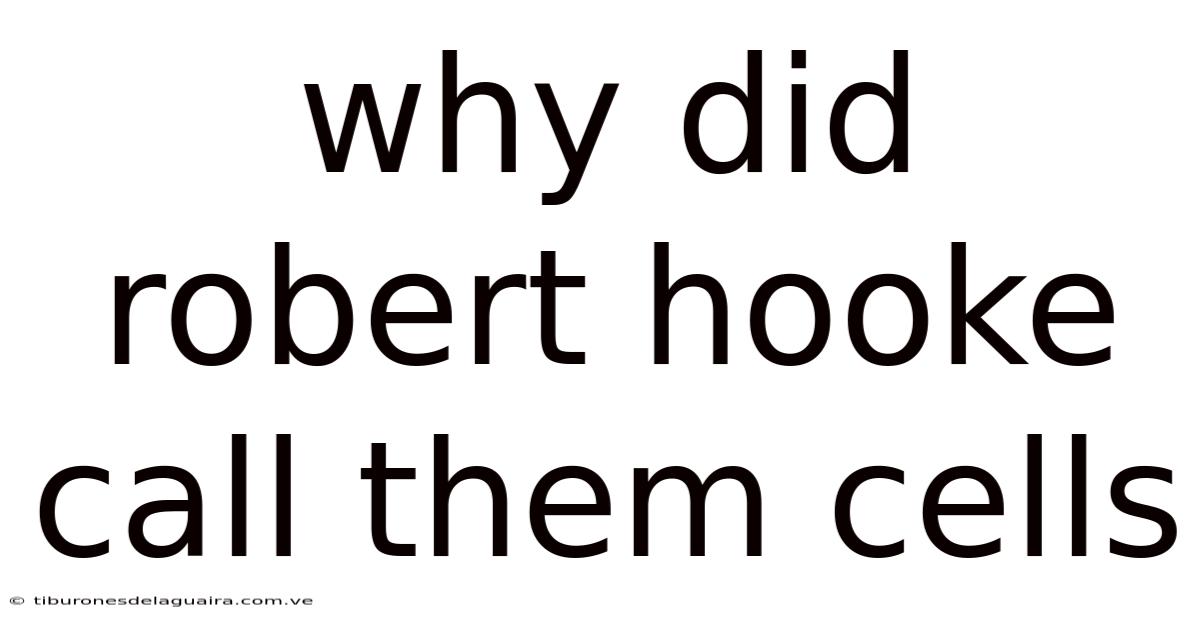 Why Did Robert Hooke Call Them Cells