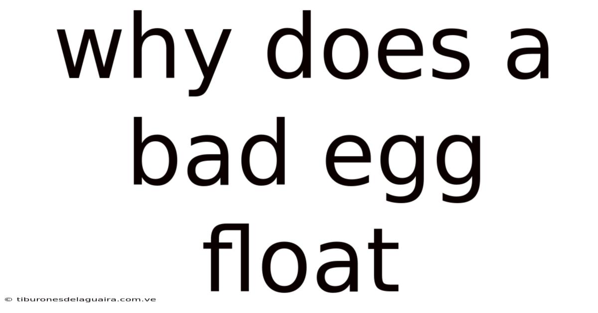 Why Does A Bad Egg Float