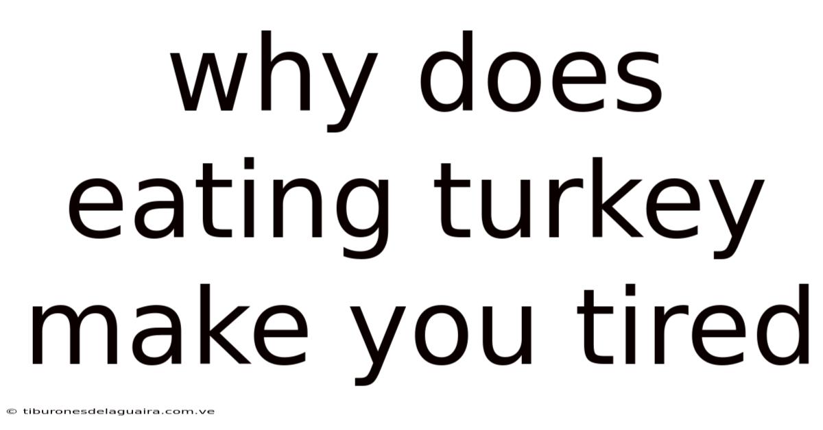 Why Does Eating Turkey Make You Tired