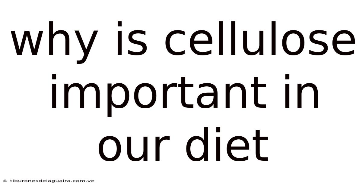 Why Is Cellulose Important In Our Diet