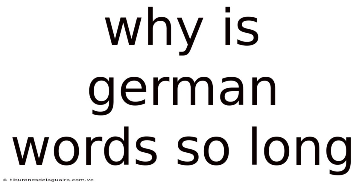 Why Is German Words So Long