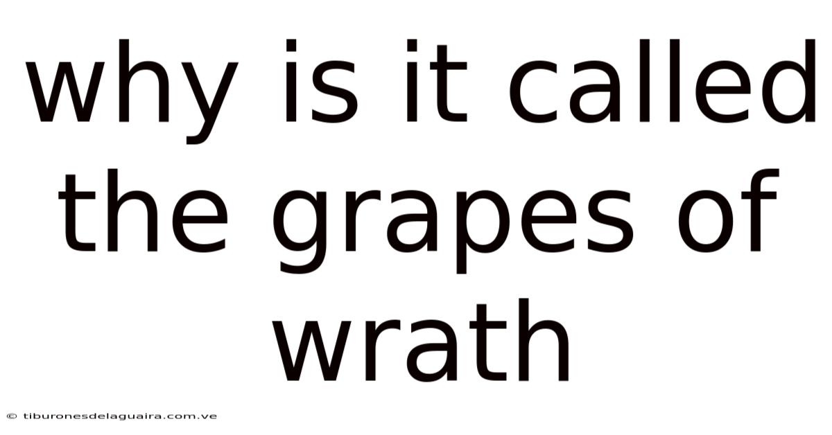Why Is It Called The Grapes Of Wrath