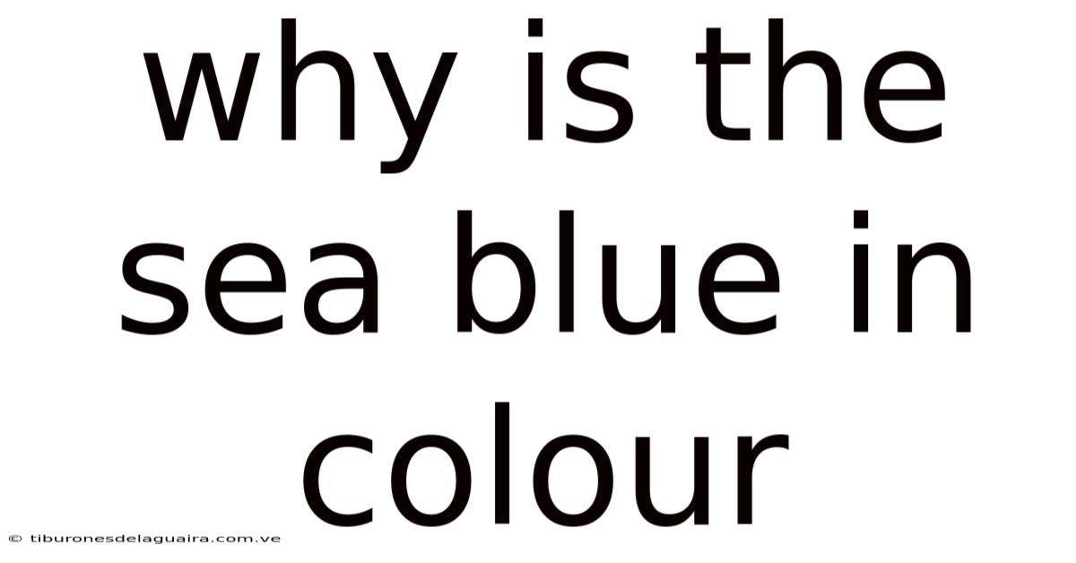 Why Is The Sea Blue In Colour
