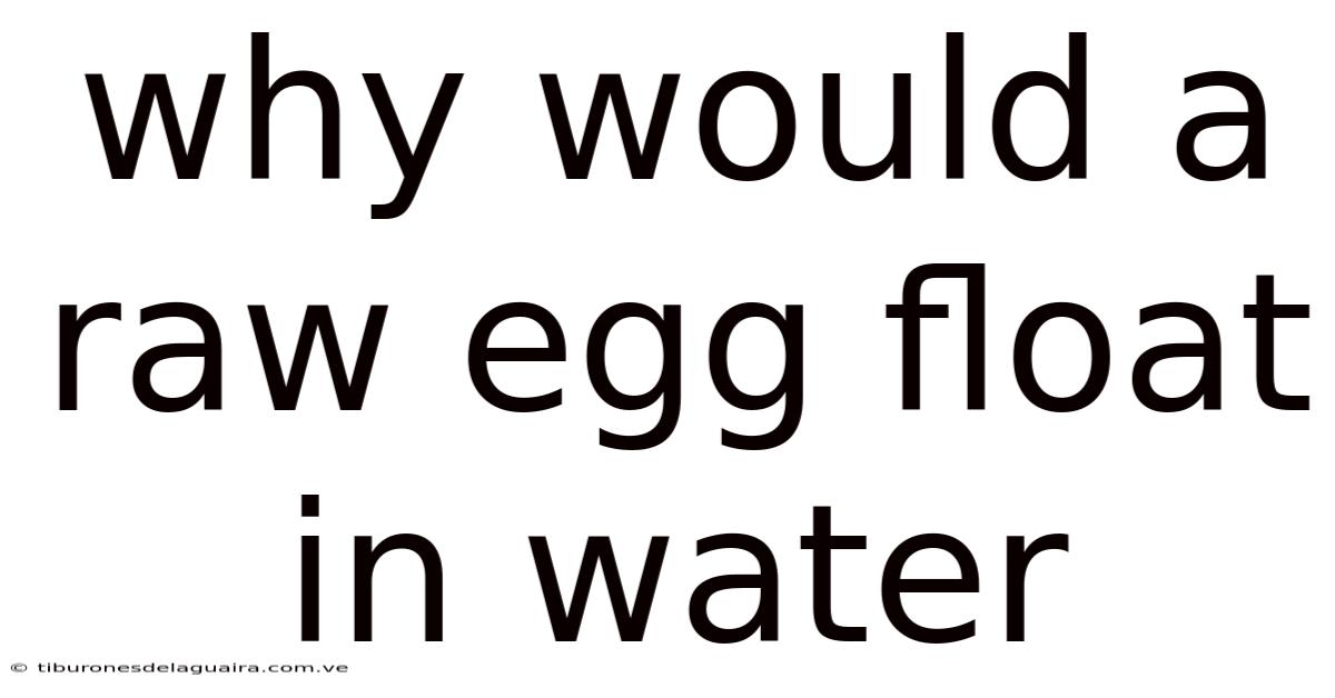 Why Would A Raw Egg Float In Water