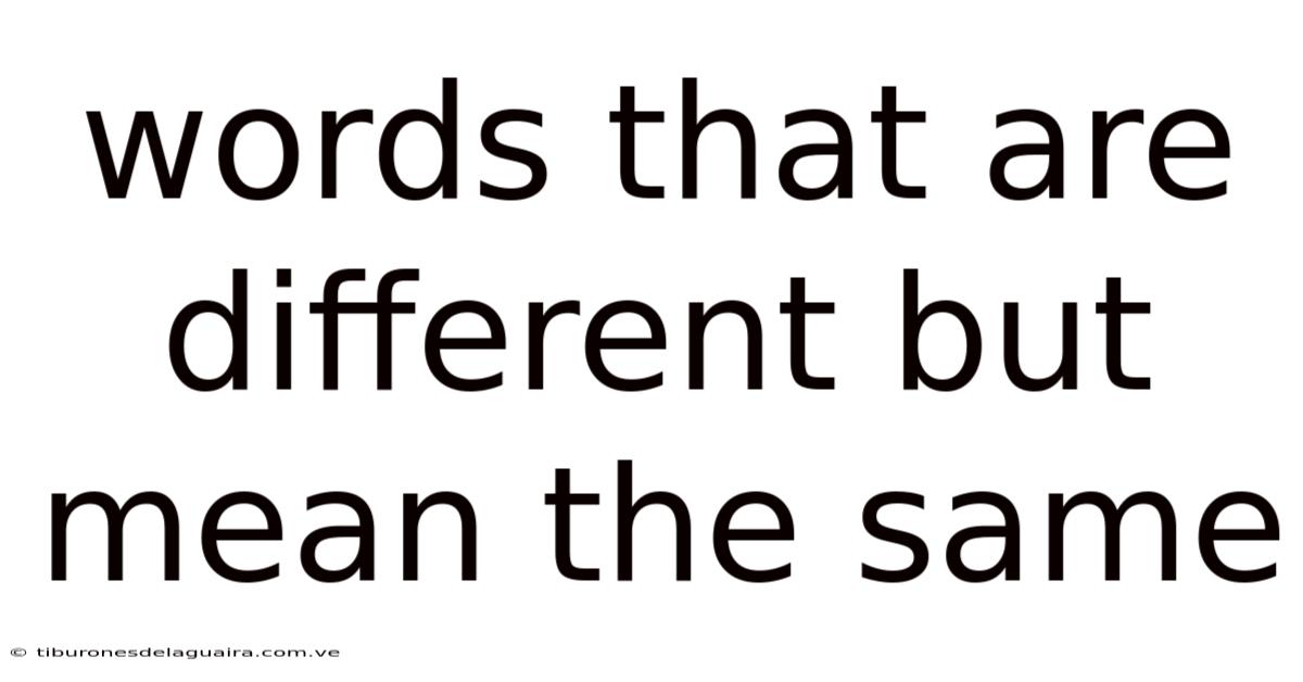 Words That Are Different But Mean The Same